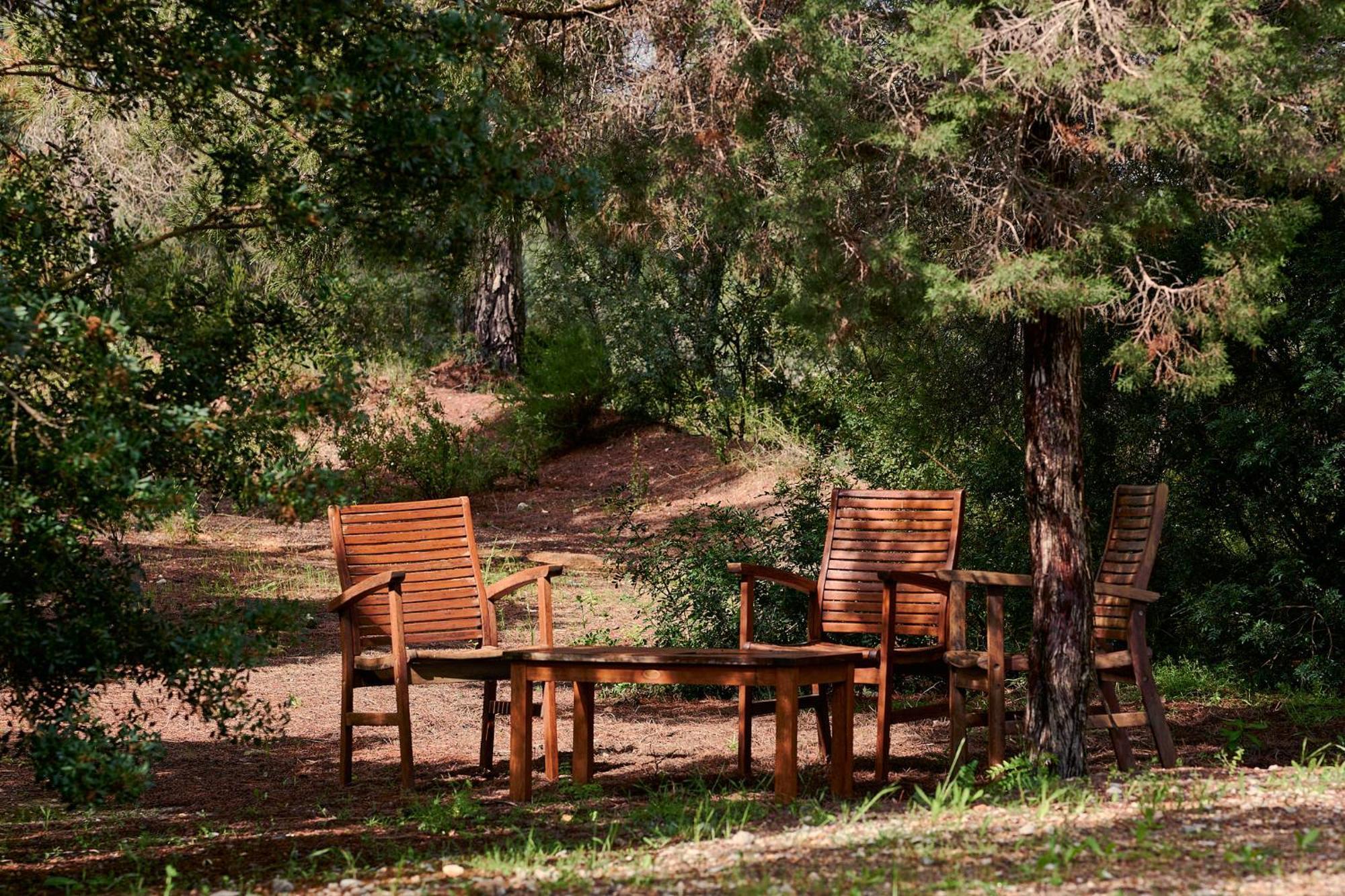 Coll Des Cocons Barefoot House 5min From Pacha Villa